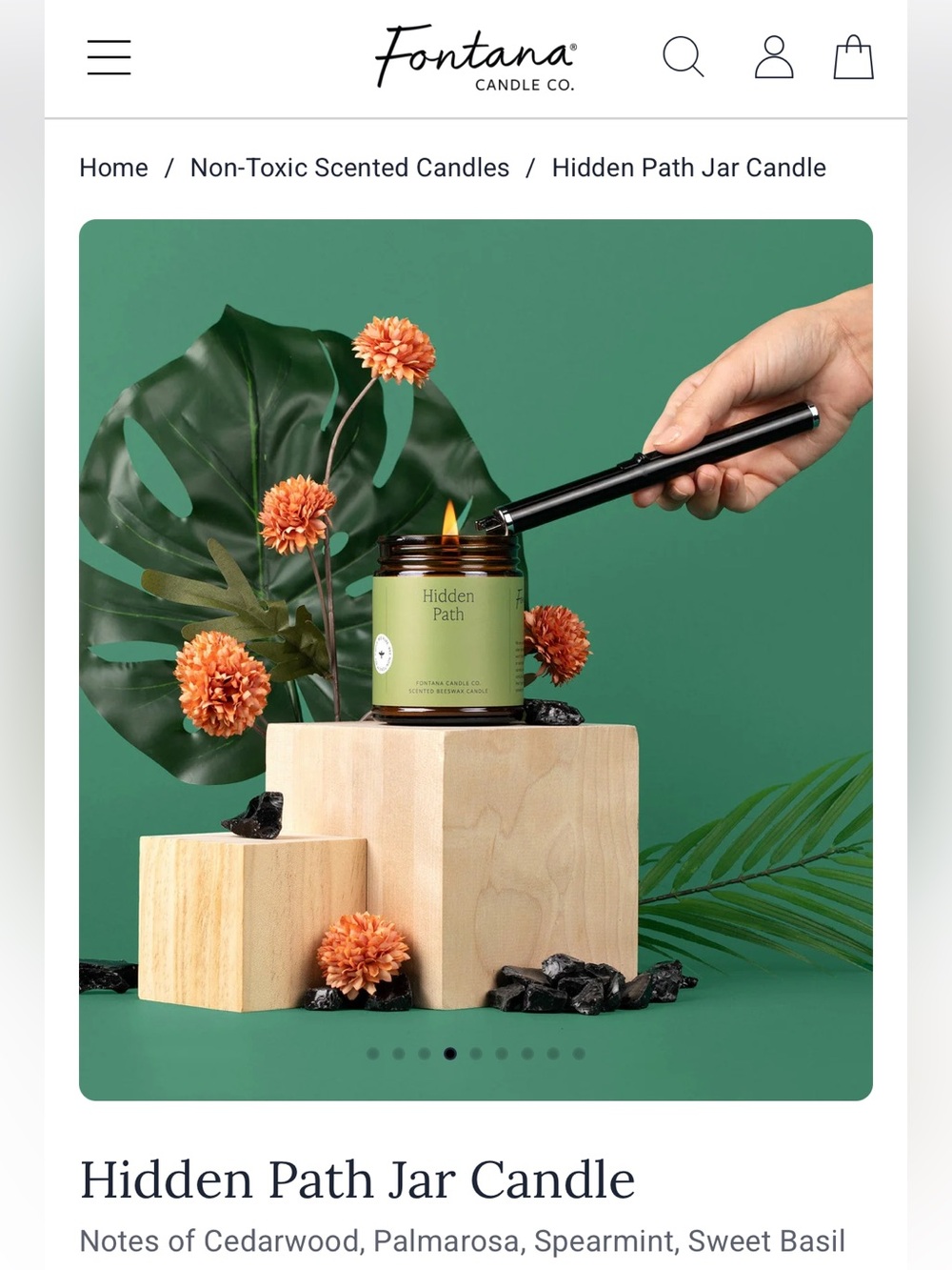 Fontana Hidden Path Jar Candle - Green